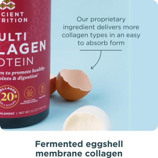 Ancient Nutrition Collagen Powder Protein, Multi Collagen Protein, Cucumber Lime, Hydrolyzed Collagen Peptides Supports Skin and Nails, Joint Supplement, 18.6oz - Image 2