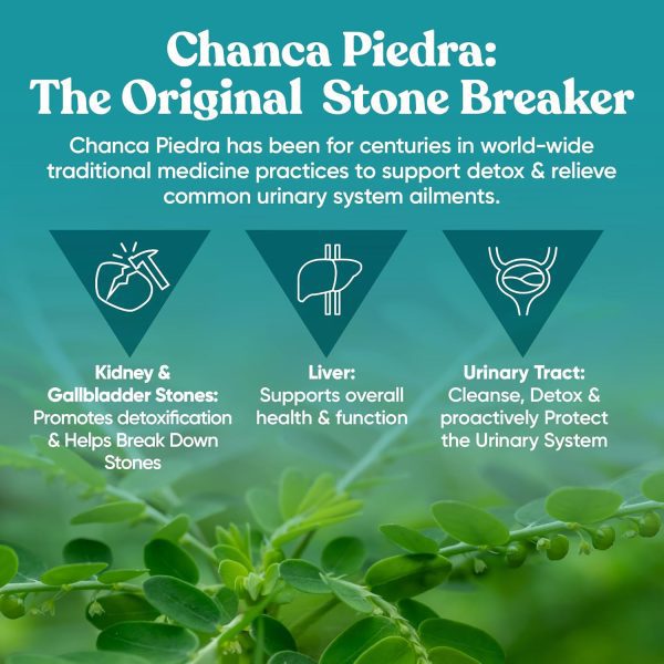 Chanca Piedra Stone Breaker – Natural Dissolver, Kidney Cleanse & Gallbladder Supplement – Detoxify Urinary Tract, Flush Impurities, Clear System – 120 Vegan Soft Capsules - Image 4