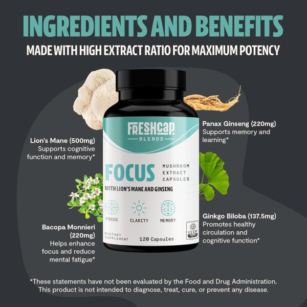 FreshCap 4-in-1 Focus Supplement - Brain Supplements for Memory and Focus - Memory Supplement for Brain, Brain Booster Supplement, Lions Mane Extract, Ayurveda Ginseng (120 Capsules) - Image 2
