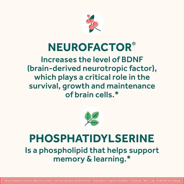 NEURIVA Original Decaffeinated Clinically Tested Nootropic Brain Supplement for Memory, Focus & Concentration, NeuroFactor & Phosphatidylserine, 28ct Capsules - Image 5