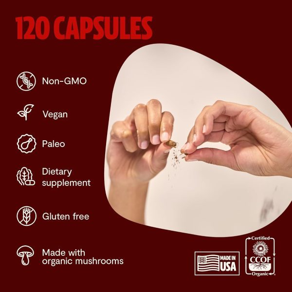 FreshCap Reishi Mushroom Supplement 14,000mg - Reishi Mushroom Capsules Extract, Supplements Herbal Supplements, Ayurveda Nootropic Red Reishi Supplement (120 Capsules) - Image 4