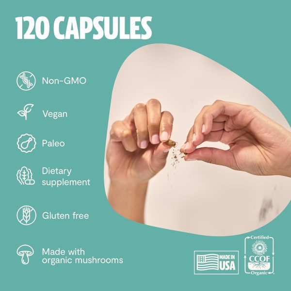 FreshCap 4-in-1 Focus Supplement - Brain Supplements for Memory and Focus - Memory Supplement for Brain, Brain Booster Supplement, Lions Mane Extract, Ayurveda Ginseng (120 Capsules) - Image 7