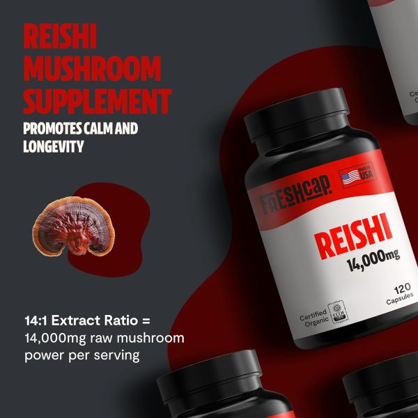 FreshCap Reishi Mushroom Supplement 14,000mg - Reishi Mushroom Capsules Extract, Supplements Herbal Supplements, Ayurveda Nootropic Red Reishi Supplement (120 Capsules) - Image 8