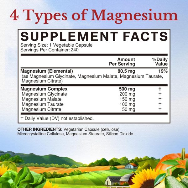 Vitalitown Magnesium Complex Supplement 500mg, Maximized Absorption, Non-Buffered, Chelated Magnesium Glycinate, Malate, Taurate & Citrate, for Sleep, Muscle, Energy & Heart, Vegan, Non-GMO, 240 Caps - Image 2