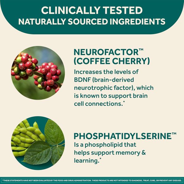 NEURIVA Original Brain Supplement for Memory, Focus & Concentration + Learning & Accuracy with Clinically Tested Nootropics Phosphatidylserine and Neurofactor, Caffeine Free, 30ct Capsules - Image 5