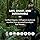 Host Defense MyCommunity Capsules - 17 Species Blend Mushroom Supplement for Immune Support - Herbal Aid with Lion's Mane, Reishi. Chaga, Cordyceps, Turkey Tail & More - 120 Capsules (60 Servings) - Image 5